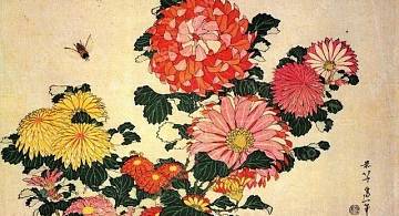 Главный цветок Японии