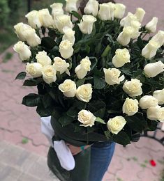 51 белая высокая голландская роза