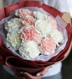 Букет из 11 розовых и белых гвоздик 