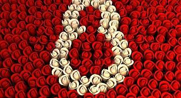 Доставка цветов любимой на 8 марта!