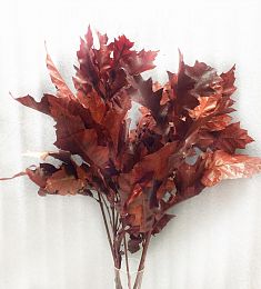 Сезонные листья (клен/дуб)