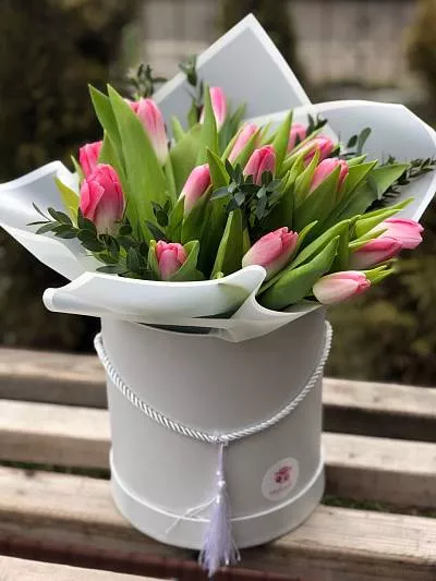 25 голландских тюльпанов в коробку 4