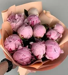 11 розовых голландских пионов