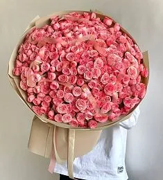 101 пионовидная спрей роза 