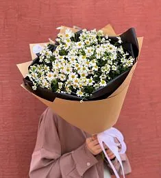 Моно букет из кустовой ромашки "Ромашка 13к"