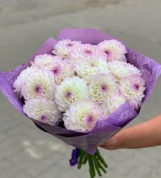 Букет из 19 нежных георгинов