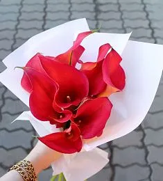 Букет из 9 красных калл