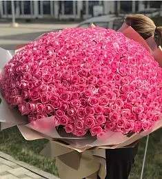 501 розовая роза в оформлении