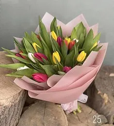 25 голландских тюльпанов микс