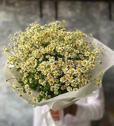Букет из 15 кустовых ромашек