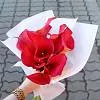 Букеты красных калл