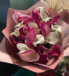 Букет из 29 белых и малиновых калл