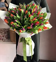 101 голландский тюльпан